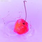 连锁加盟店规章管理制度