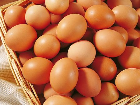 靠十二枚野鸡蛋创业发家