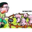 另类养猪法带领全村奔小康
