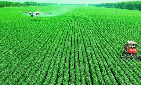 大豆期货攀升 30多万吨临储大豆全部流拍