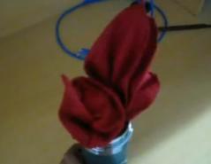 最全的餐巾折花培训视频