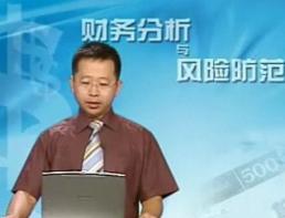 财务分析与风险防范