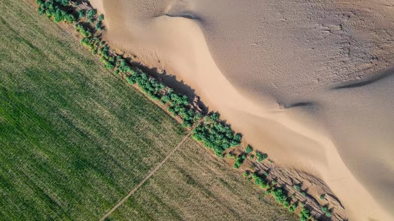 蒙牛助力全球乳业合作论坛：聚焦绿色价值链，共创乳业“净零”新未来