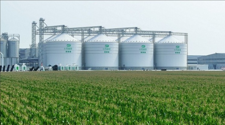 新玉米上市梯媒热播，十月稻田品牌全域增长再添新军