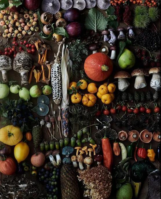 Noma为何能获得“世界第一餐厅”称号？